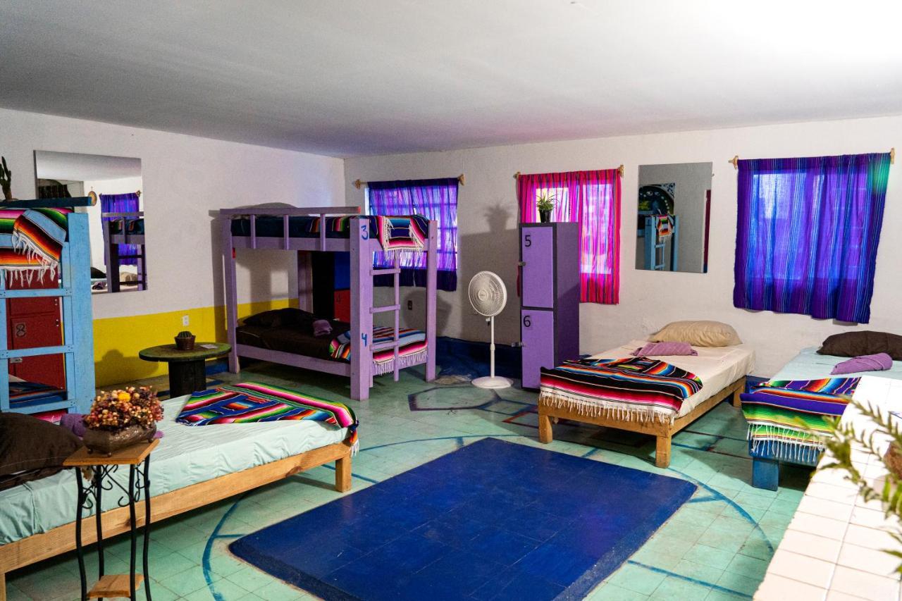 Hostal Chesal サン・ルイス・ポトシ エクステリア 写真